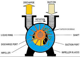 Liquid Ring / Rotary Compressor Schematic